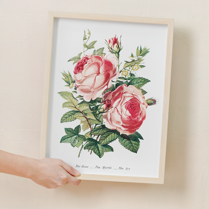 The Rose, the Myrtle and the Ivy - Art Print