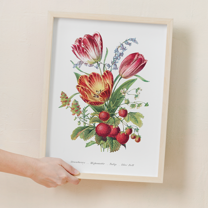 Strawberry, Mignonette, Tulip, and Blue Bell - Art Print