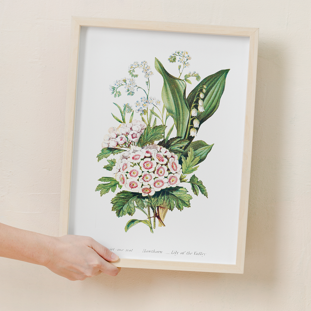 Forget Me Not, Hawthorn and Lily of the Valley - Art Print