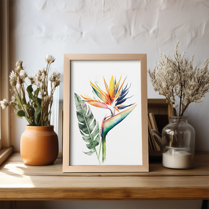 Strelitzia II - Art Print