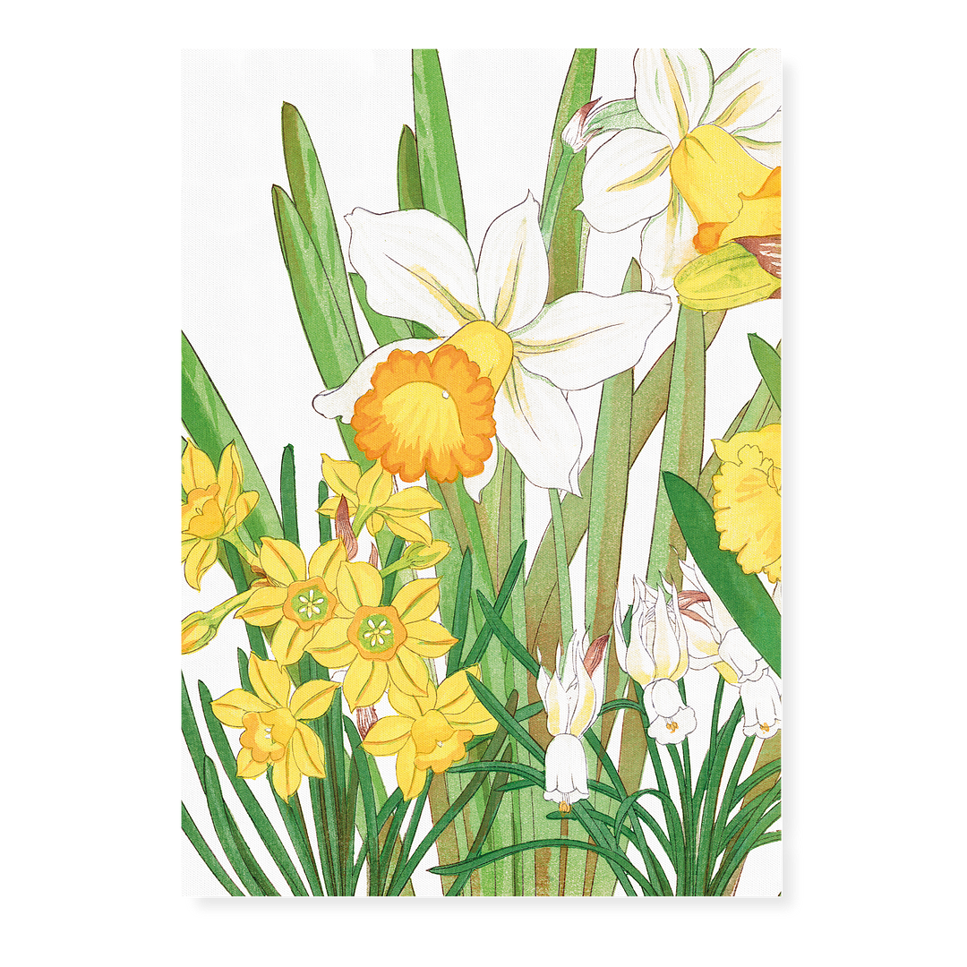 Daffodils By Tanigami Kônan Art-Print