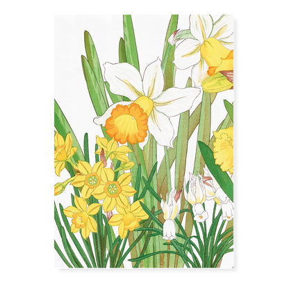 Daffodils By Tanigami Kônan Art-Print