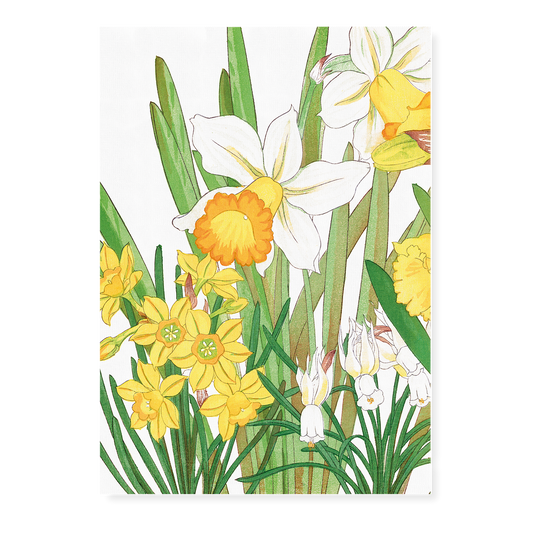 Daffodils By Tanigami Kônan Art-Print