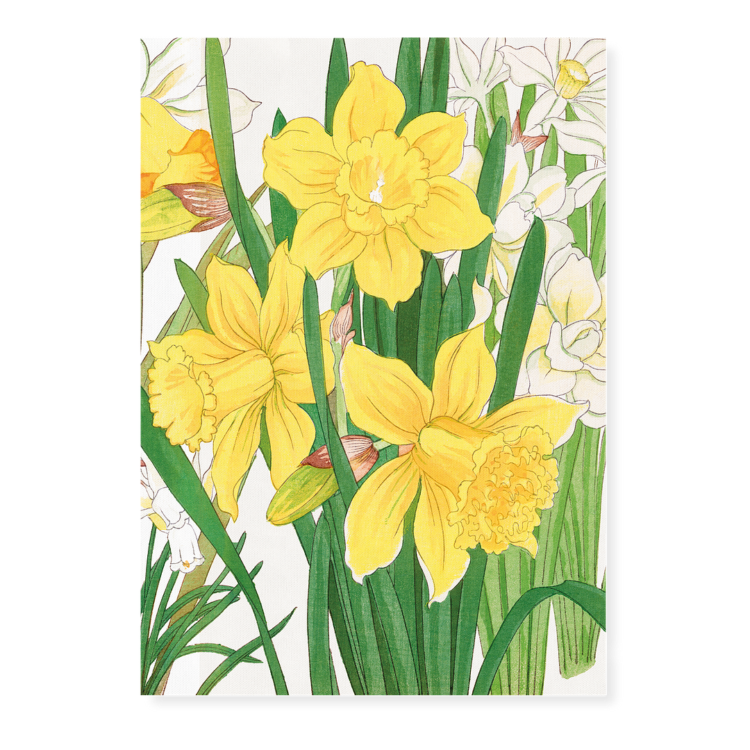 Daffodil By Tanigami Kônan Art-Print