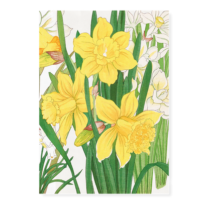 Daffodil By Tanigami Kônan Art-Print