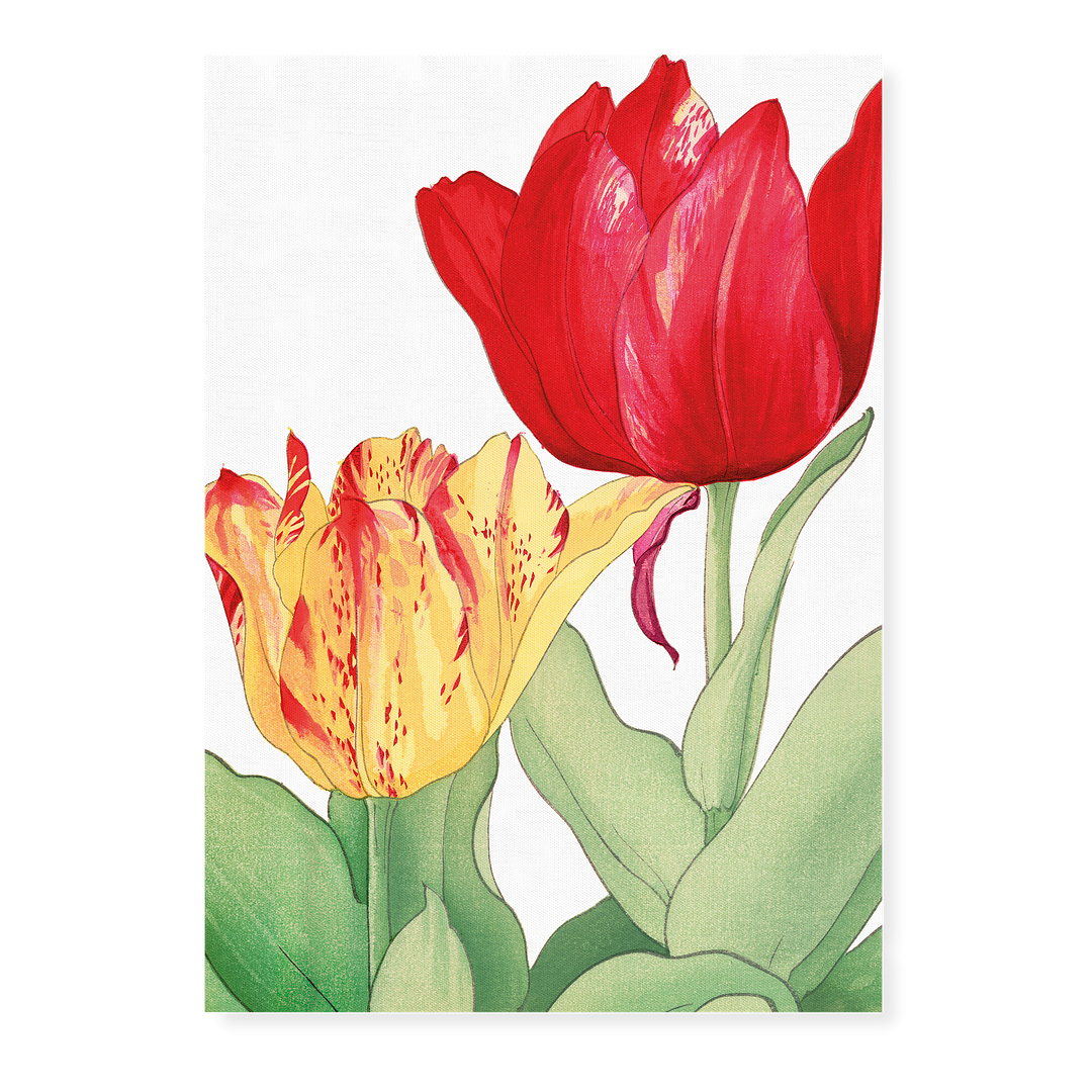 Tulip By Tanigami Kônan Art-Print