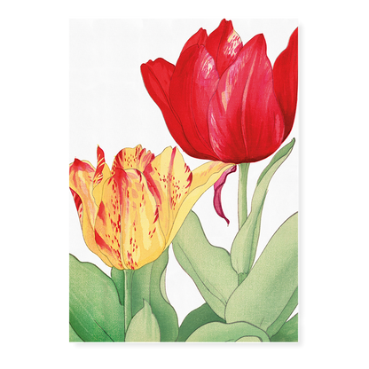 Tulip By Tanigami Kônan Art-Print