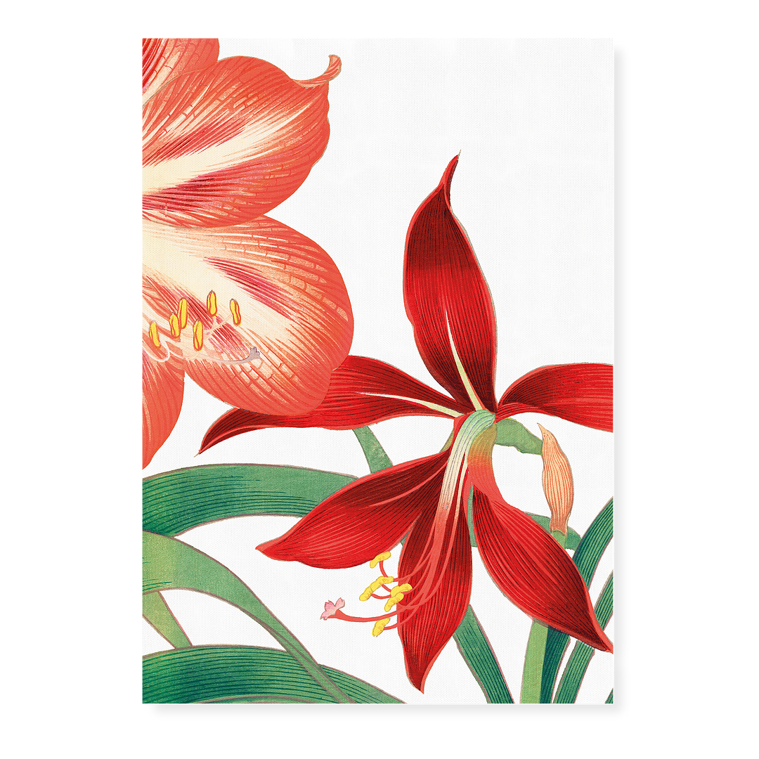 Amaryllis By Tanigami Kônan Art-Print