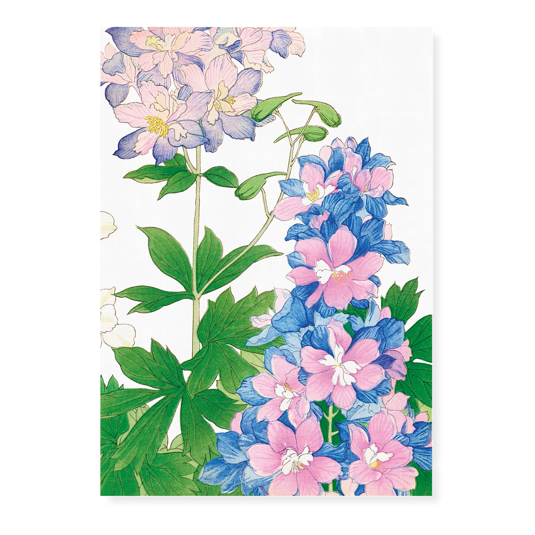 Delphinium By Tanigami Kônan Art-Print