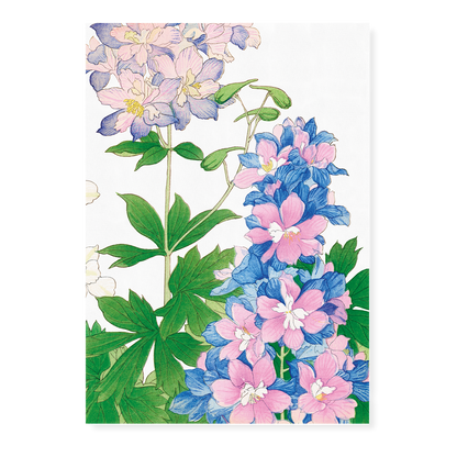 Delphinium By Tanigami Kônan Art-Print