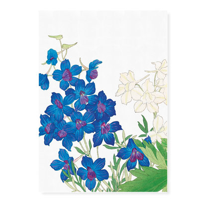 Delphinium flowers By Tanigami Kônan Art-Print