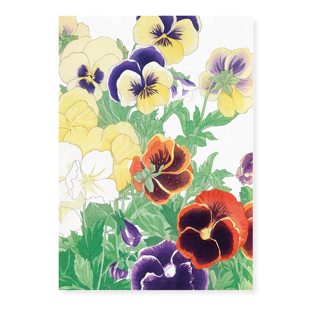 Pansy flowers By Tanigami Kônan Art-Print