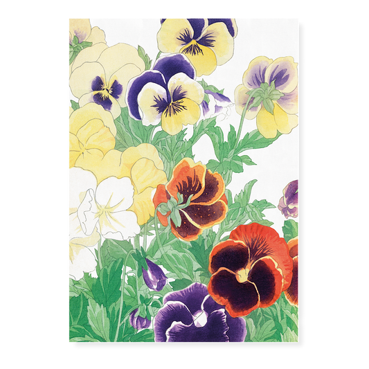 Pansy flowers By Tanigami Kônan Art-Print