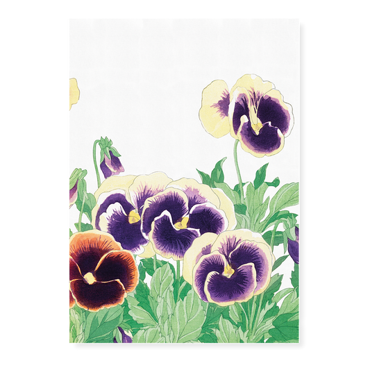 Pansy By Tanigami Kônan Art-Print