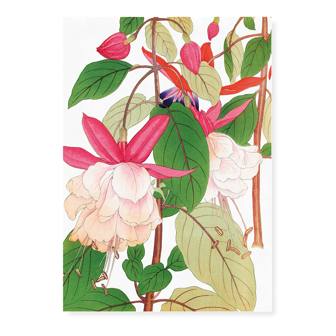 Fuchsia By Tanigami Kônan Art-Print