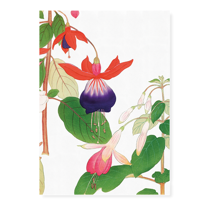 Fuchsia flower By Tanigami Kônan Art-Print