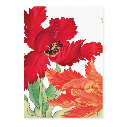 Parrot Tulip By Tanigami Kônan Art-Print