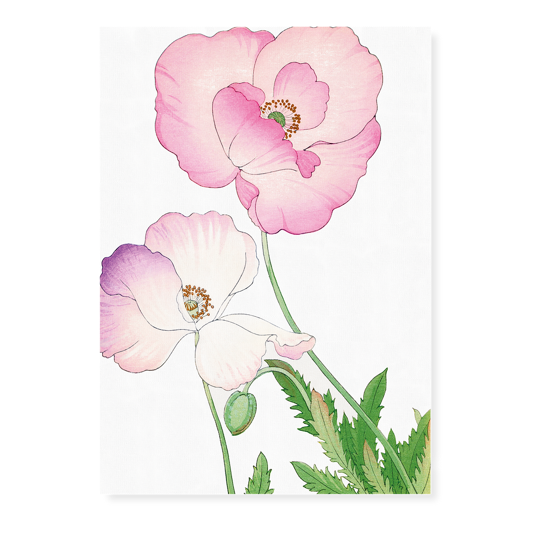 Pink Poppy By Tanigami Kônan Art-Print