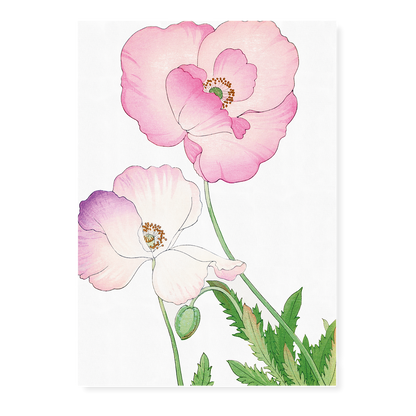 Pink Poppy By Tanigami Kônan Art-Print