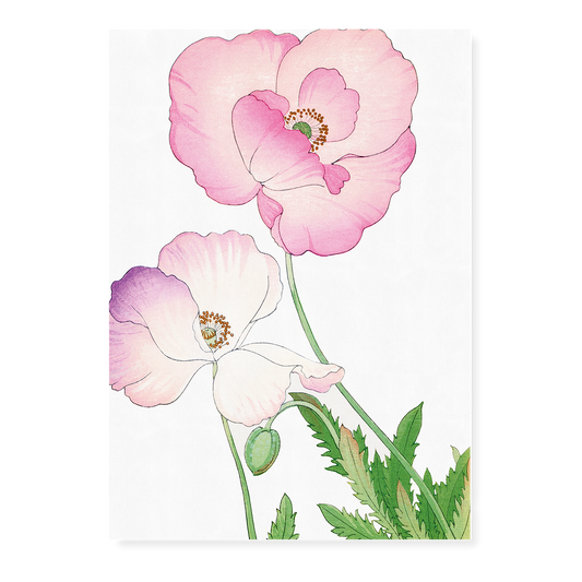 Pink Poppy By Tanigami Kônan Art-Print