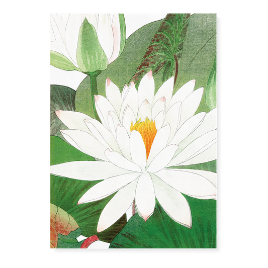 Witte lotus By Tanigami Kônan Art-Print