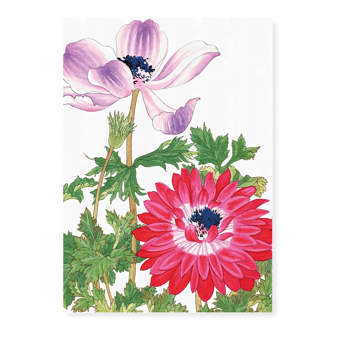 Poppy's By Tanigami Kônan Art-Print