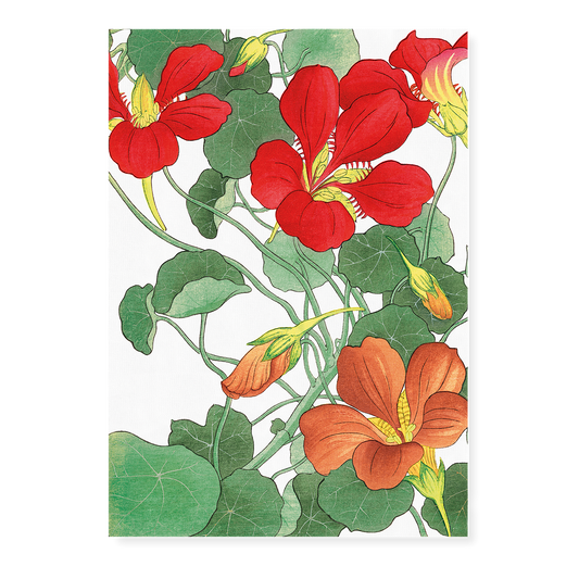 Nasturtium By Tanigami Kônan Art-Print