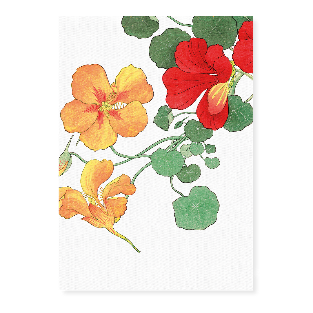 Nasturtium flower By Tanigami Kônan Art-Print