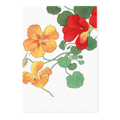 Nasturtium flower By Tanigami Kônan Art-Print