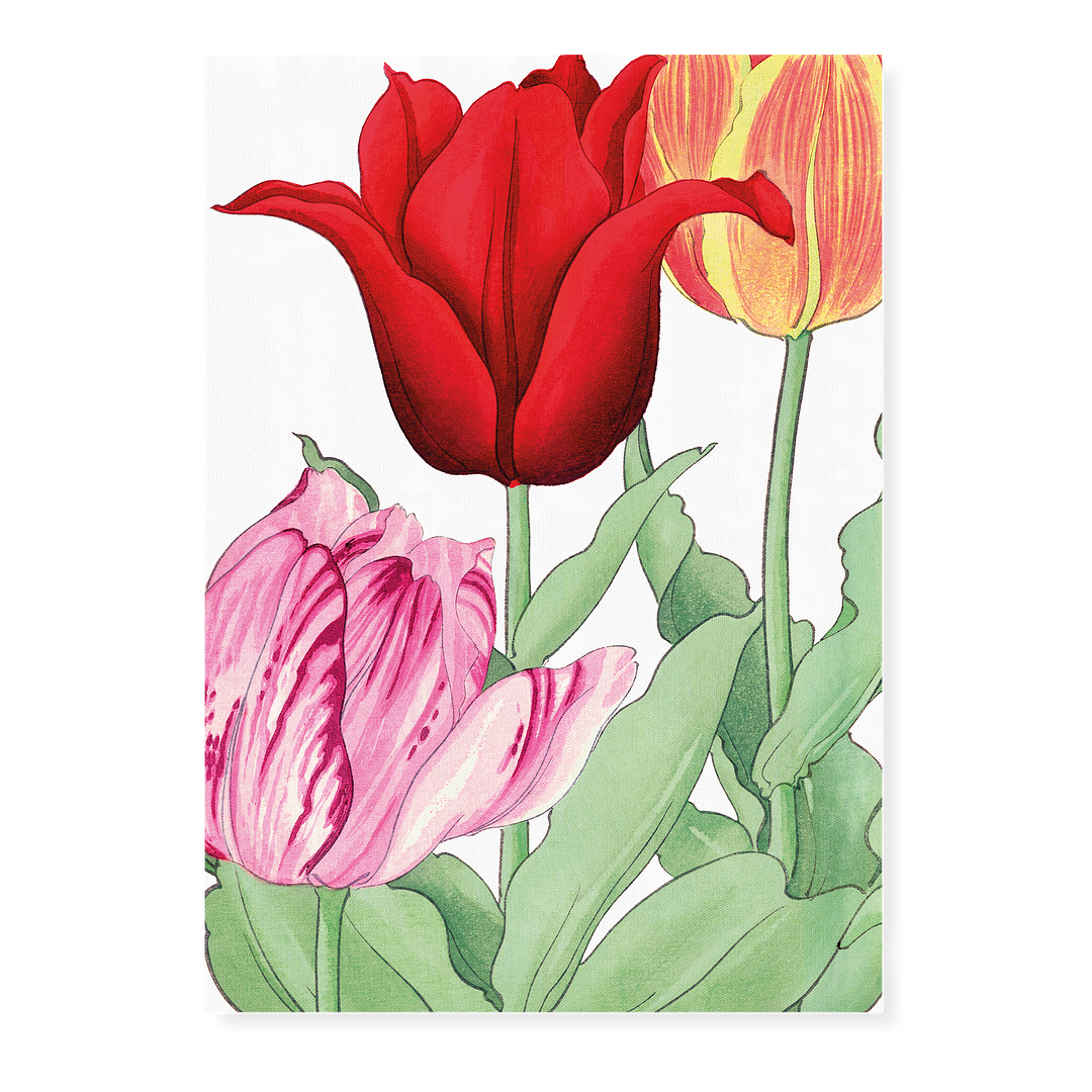 Tulips By Tanigami Kônan Art-Print