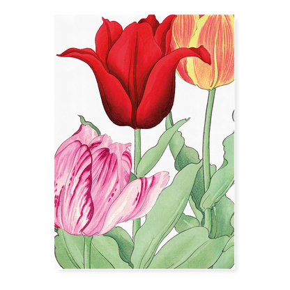 Tulips By Tanigami Kônan Art-Print