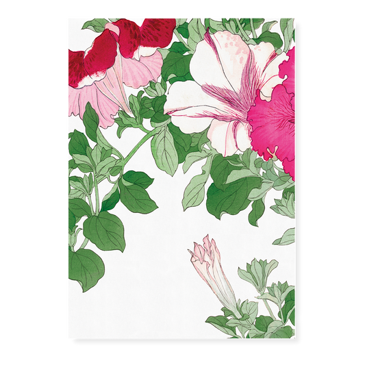 Petunia flower By Tanigami Kônan Art-Print