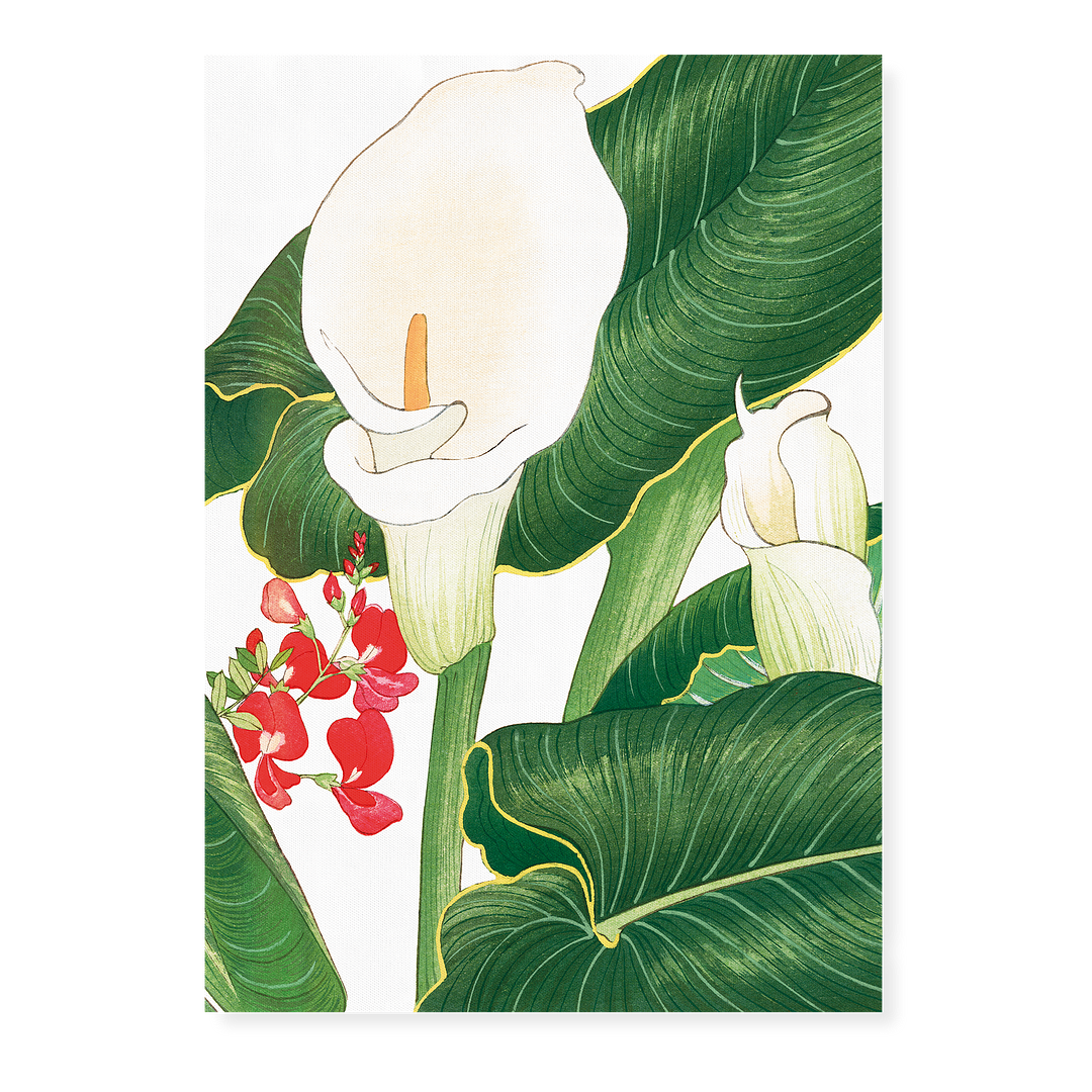 Calla Lily By Tanigami Kônan Art-Print