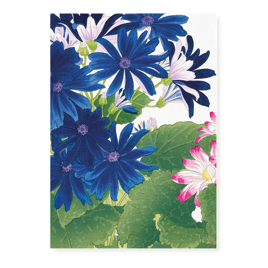 Blue Cineraria By Tanigami Kônan Art-Print