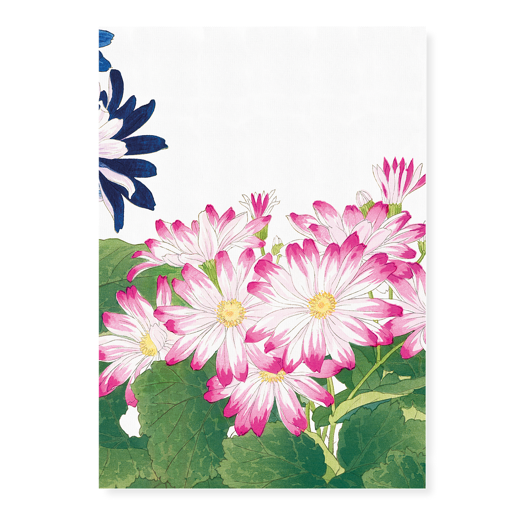 Pink Cineraria By Tanigami Kônan Art-Print