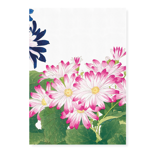 Pink Cineraria By Tanigami Kônan Art-Print