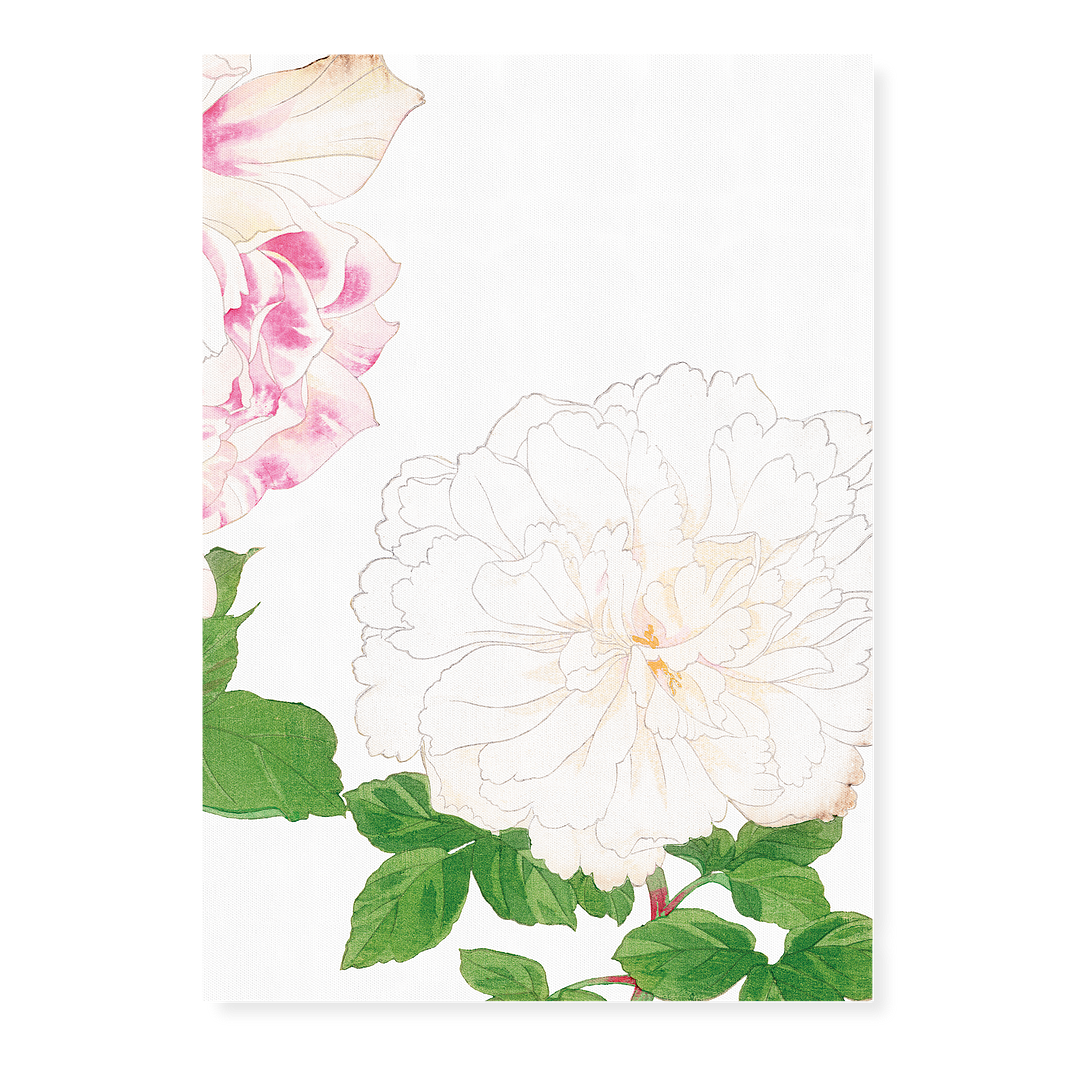 White Rose By Tanigami Kônan Art-Print