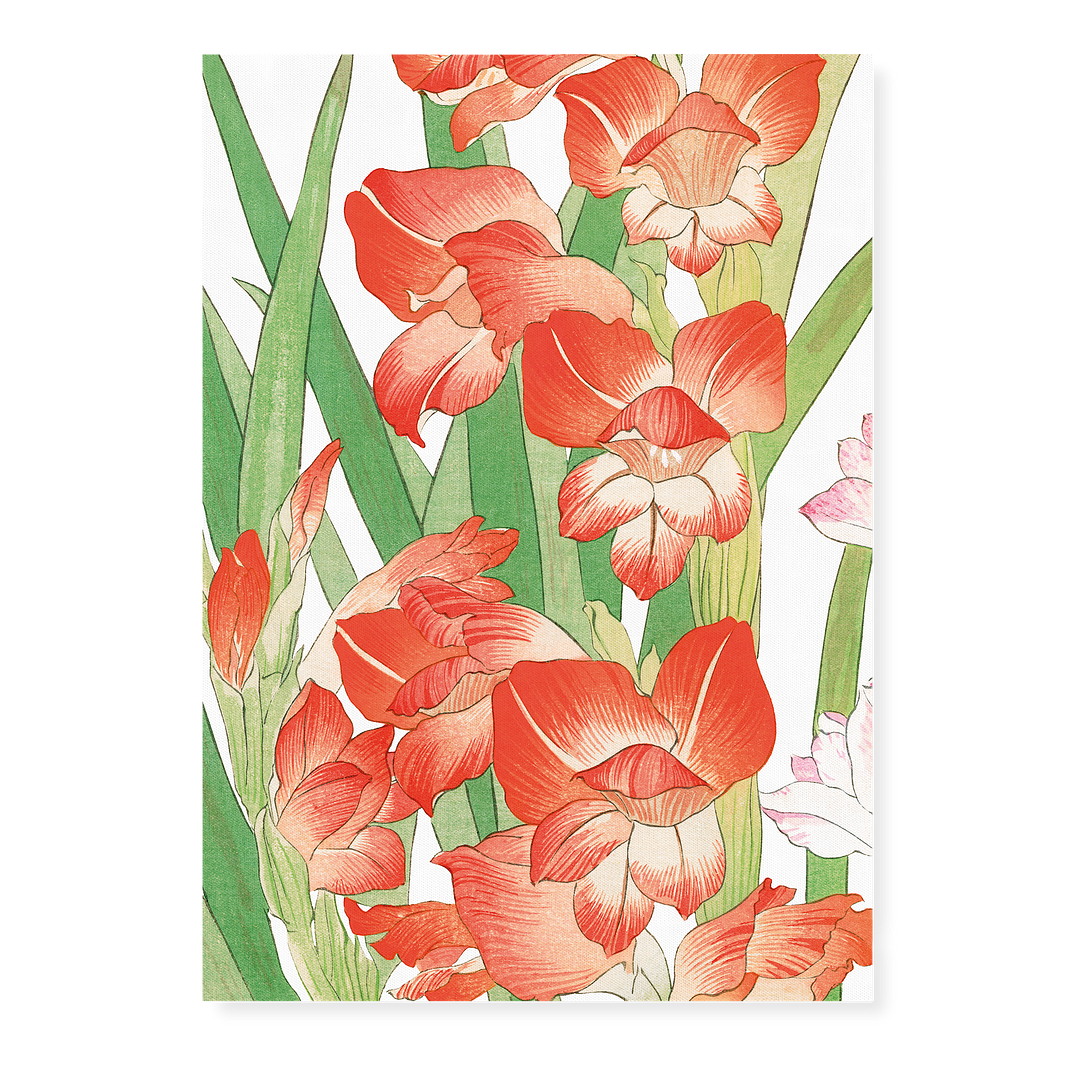 Gladiolus By Tanigami Kônan Art-Print