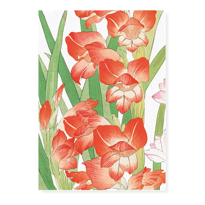 Gladiolus By Tanigami Kônan Art-Print