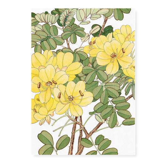 Allamanda By Tanigami Kônan Art-Print