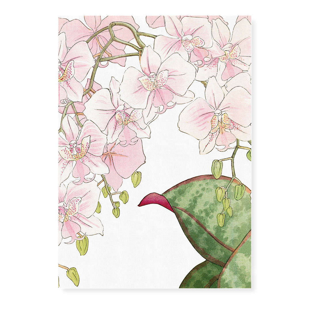 Orchids By Tanigami Kônan Art-Print