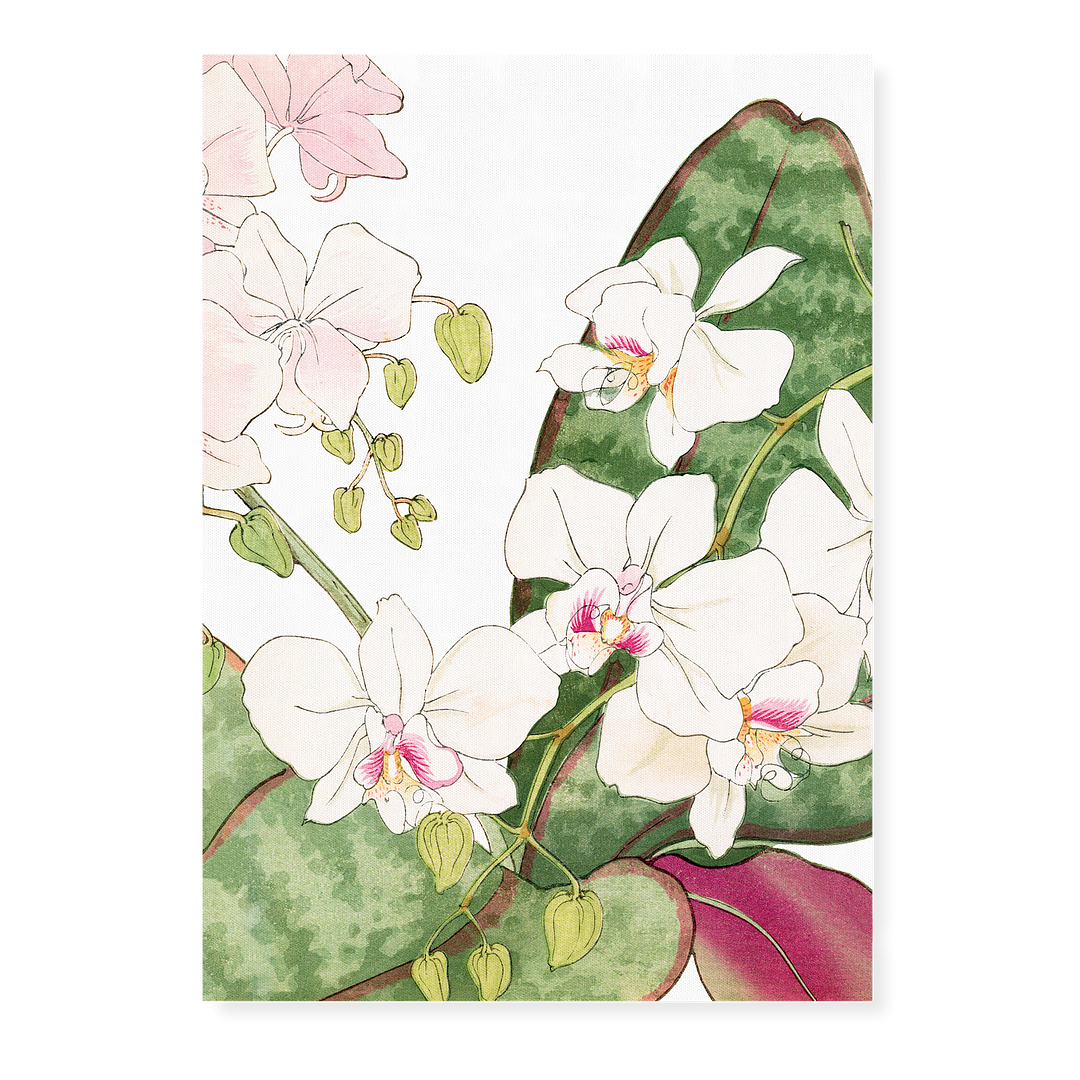 Orchids flower By Tanigami Kônan Art-Print