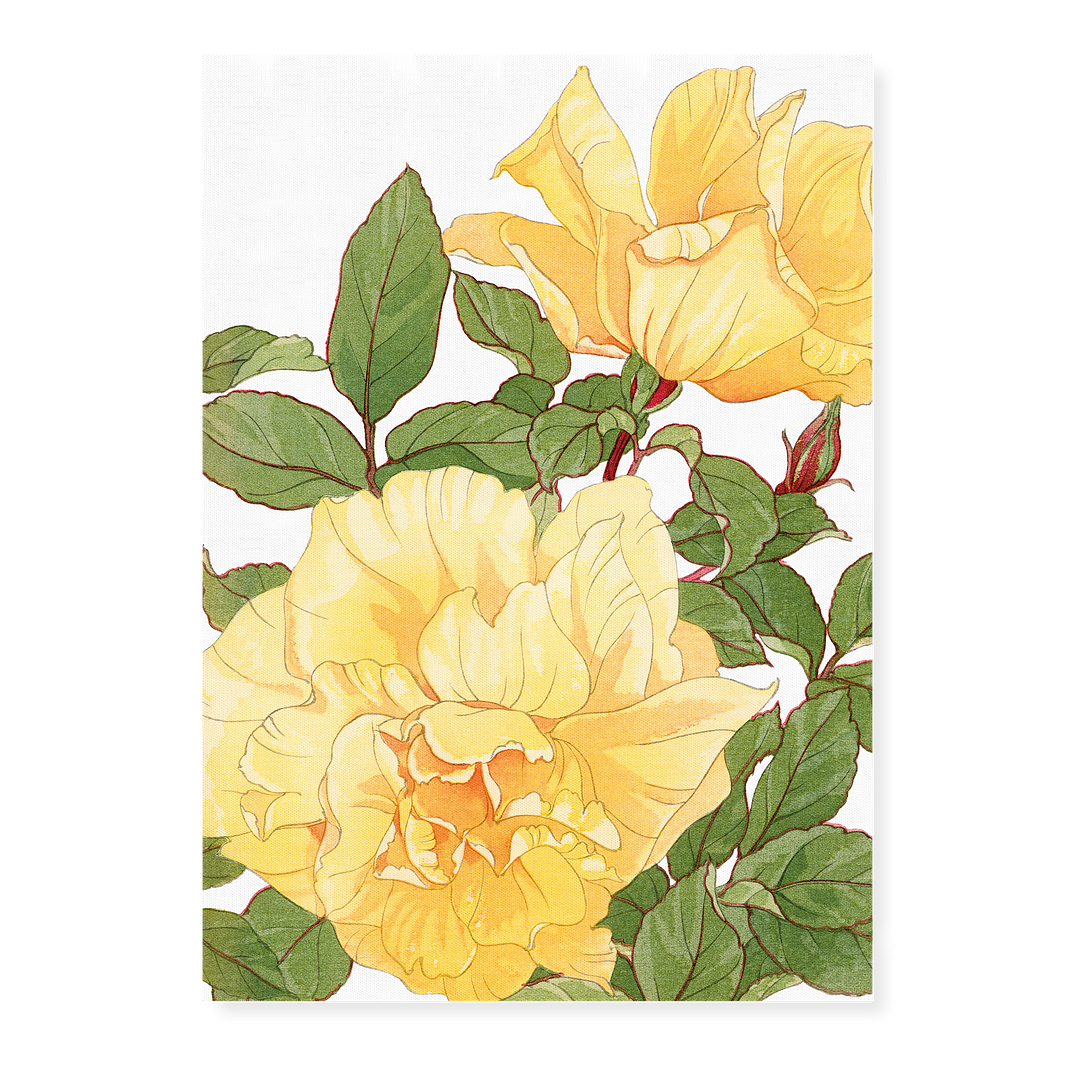 Yellow Rose By Tanigami Kônan Art-Print