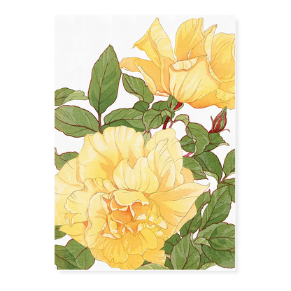 Yellow Rose By Tanigami Kônan Art-Print