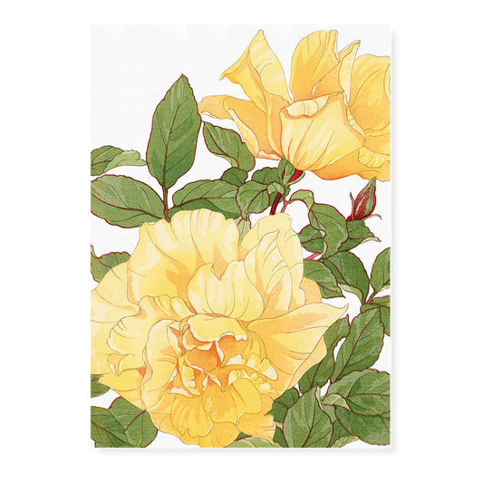 Yellow Rose By Tanigami Kônan Art-Print