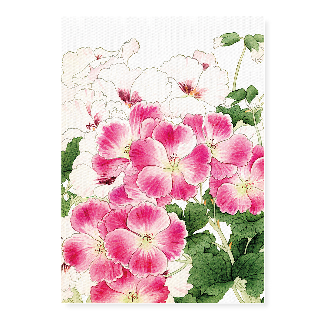 Geranium By Tanigami Kônan Art-Print