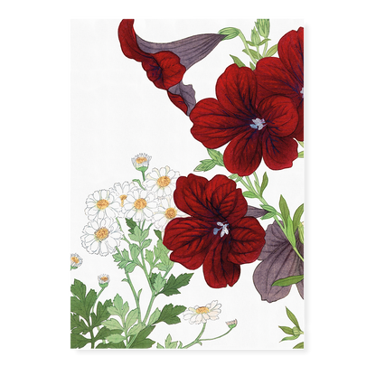 Matricaria & Salpiglossis By Tanigami Kônan Art-Print