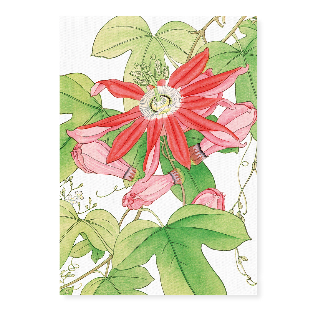 Passion flower By Tanigami Kônan Art-Print