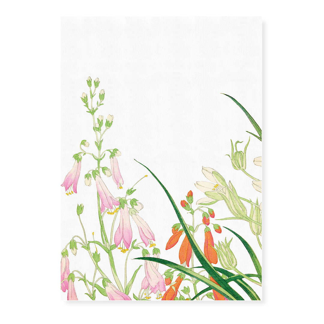 Ornithogalums By Tanigami Kônan Art-Print