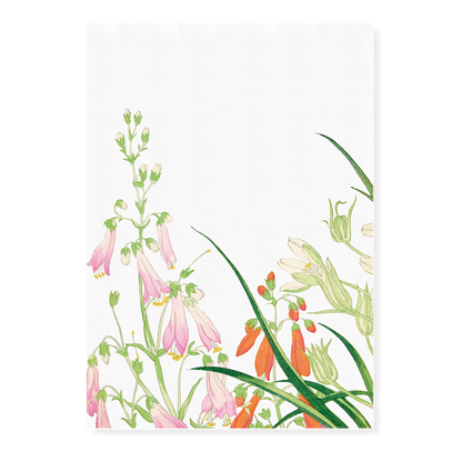 Ornithogalums By Tanigami Kônan Art-Print